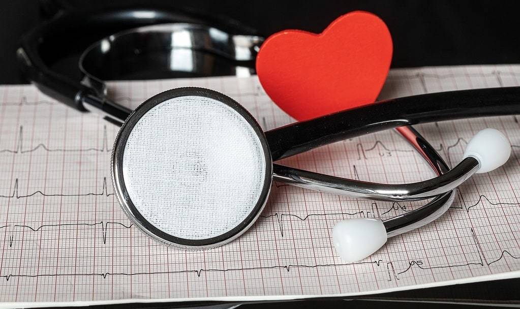 Comment choisir son vétérinaire ?